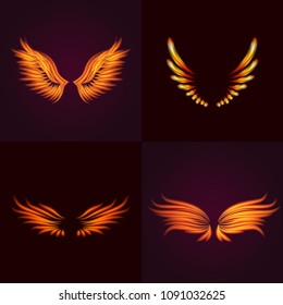 Bird fire wings vector fantasy feather burning fly mystic glow fiery burn hot art wings illustration on black.