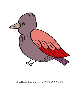 Bird flat. Cute little forest bird. Exotic feathered. Hand drawn vector sketch illustration.