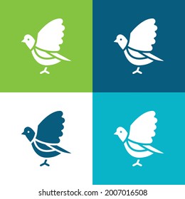 Bird Flat cuatro colores mínimo conjunto de iconos