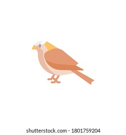 Bird flat icon, isolated on white background