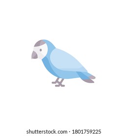 Bird flat icon, isolated on white background