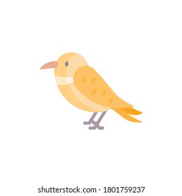 Bird flat icon, isolated on white background