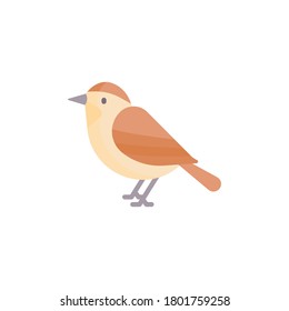 Bird flat icon, isolated on white background