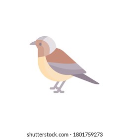 Icono plano de pájaro, aislado en fondo blanco