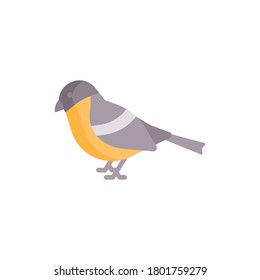 Bird flat icon, isolated on white background