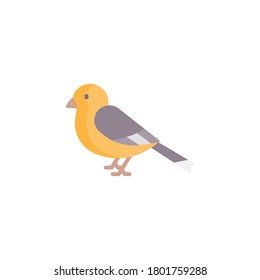 Bird flat icon, isolated on white background