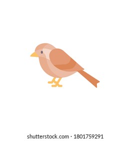 Bird flat icon, isolated on white background