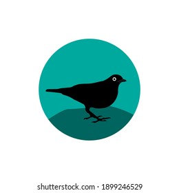 Bird in flat trendy style isolated. Bird symbol background for your website design logo, app, UI. Vector icon illustration, EPS10.