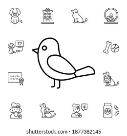 Bird flat vector icon in petshop pack