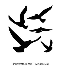 Bird flay vector in sky freedom 