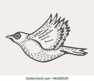 bird flies