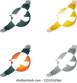 Bird flies and circle in different colors collection