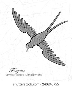 Bird flies highly in the sky. Bird dives down.