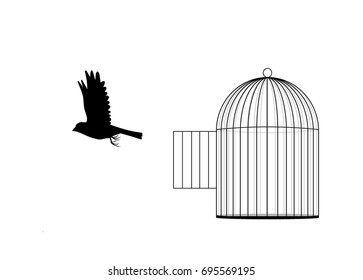 a bird flies out of cage