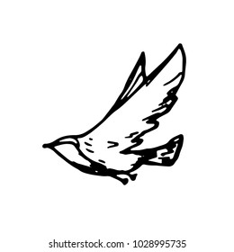 bird flies wings vector sketch isolated