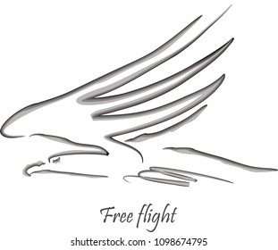 bird in flight