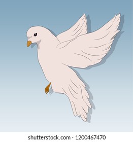 bird in flight against the sky, vector, white background