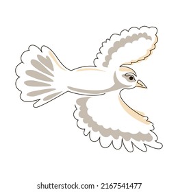 Bird in flight in the doodle style. Vector illustration isolated on a white background