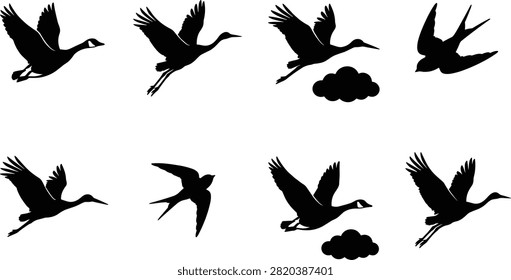 Bird in flight silhouette designs with navigation and migration symbols