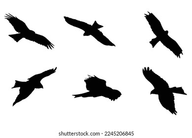 Vector de las siluetas de vuelo de aves. Colección de siluetas de águilas de aves en diferentes posiciones, Conjunto de siluetas de aves, vector de siluetas de águila.