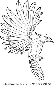 
Bird in flight, sketch isolated white background. Vector illustration. Bird contour for coloring.