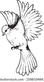 Bird in flight, sketch isolated white background. Vector illustration. Bird contour for coloring.
