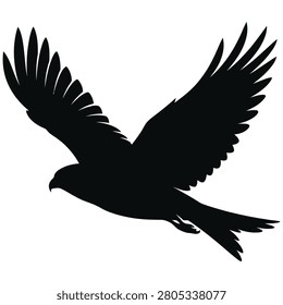A bird in flight with its wings outstretched