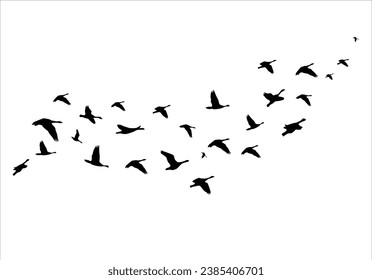 bird flock hand drawn design