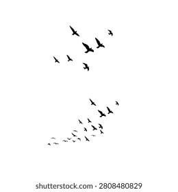 Bird Flock Silhouette Set with Flying Wildlife Elements