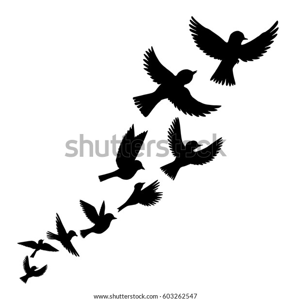 鳥の群れ ベクター飛鳥のシルエット 手描きの鳴き鳥 のベクター画像素材 ロイヤリティフリー