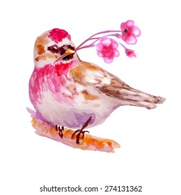 Bird with flower on branch. Isolated