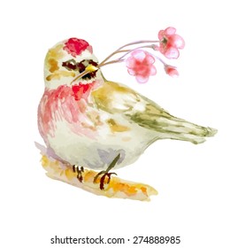 Bird with flower on branch. Isolated