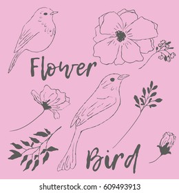 Bird, flowers, branches, leaves on a pink background. Spring. Birds and flowers. A collection of vector elements for design.