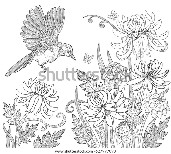 庭に鳥花蝶 大人用着色本ページ 落書き風ベクターイラスト のベクター画像素材 ロイヤリティフリー