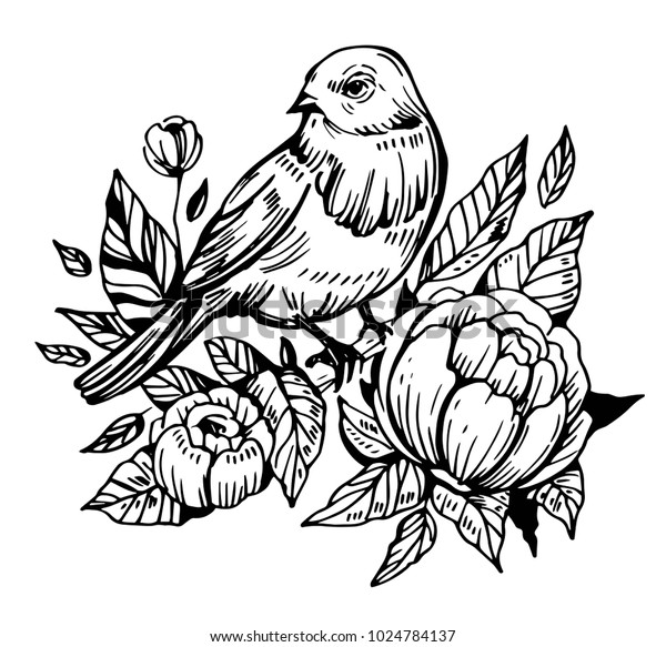 Bird Flowers Hand Drawn Illustration Converted Stock Vector (Royalty ...