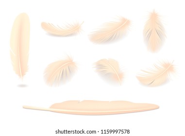 Bird fluffy and soft feathers realistic set isolated vector illustration