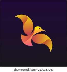 bird fly colorful logo template