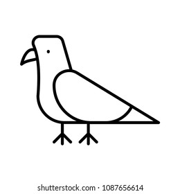 bird fly dove 