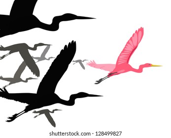 bird fly lead over group