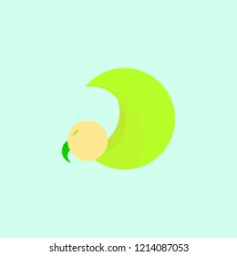 Bird fly logo design