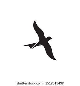 Bird fly  Logo Template vector illustration design