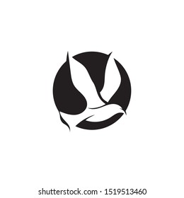 Bird fly  Logo Template vector illustration design