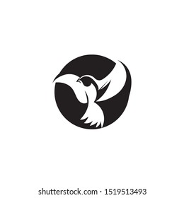 Bird fly  Logo Template vector illustration design