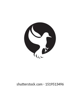 Bird fly  Logo Template vector illustration design