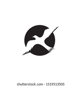 Bird fly  Logo Template vector illustration design