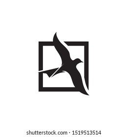 Bird fly  Logo Template vector illustration design