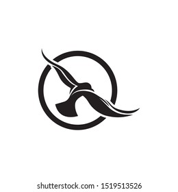 Bird fly  Logo Template vector illustration design