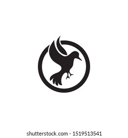 Bird fly  Logo Template vector illustration design