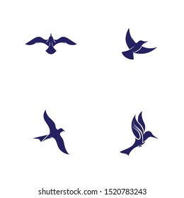 Bird fly  Logo Template vector illustration design