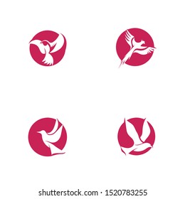 Bird fly  Logo Template vector illustration design